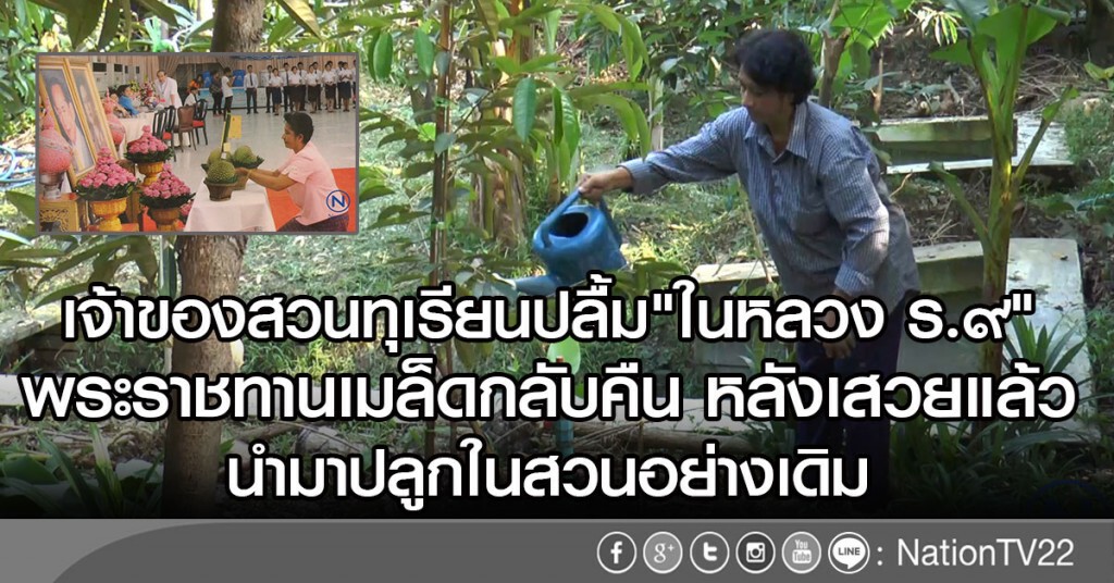 เจ้าของสวนทุเรียนปลื้ม "ในหลวง ร.๙"
พระราชทานเมล็ดกลับคืน หลังเสวยแล้ว
นำมาปลูกนสวนอย่างเดิม