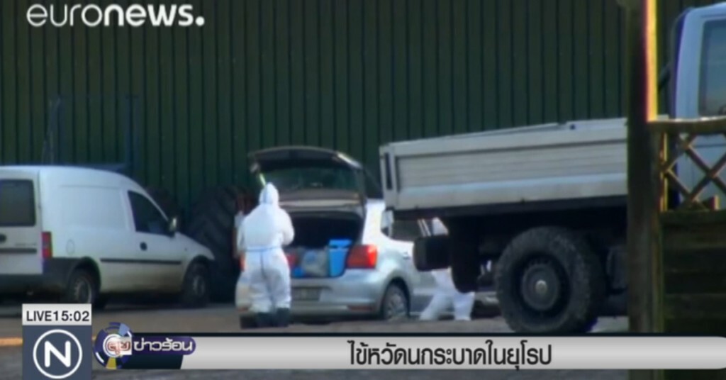 ไข้หวัดนกระบาดในยุโรป ไข้หวัดนกระบาดในยุโรป