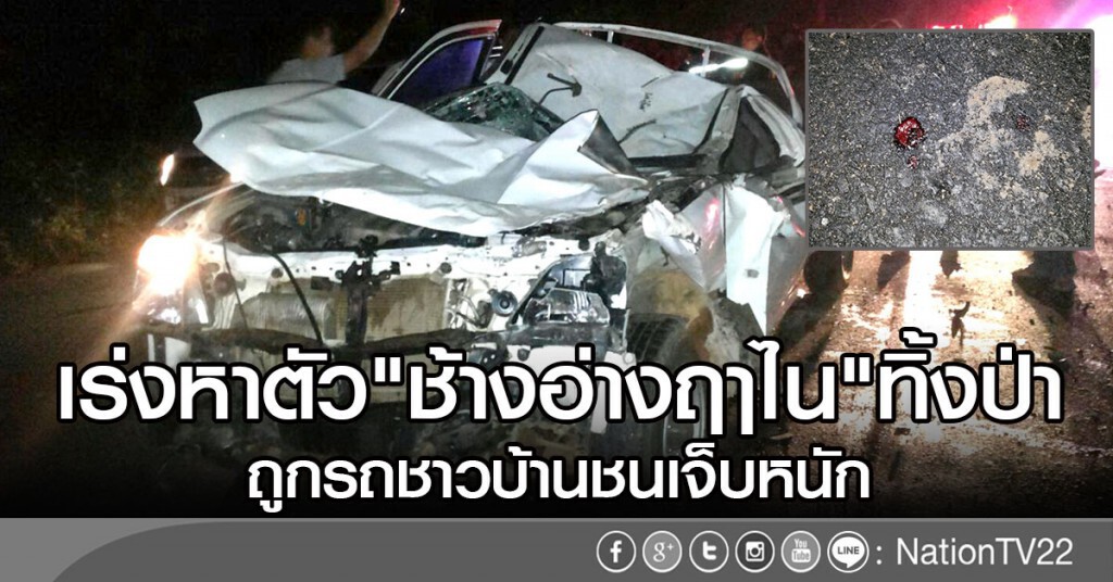 เร่งหาตัว"ช้างอ่างฤาไน"ทิ้งป่า
ถูกรถชาวบ้านชนเจ็บหนัก