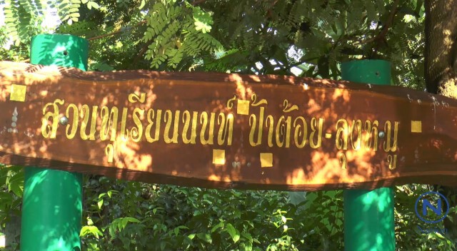 เจ้าของสวนทุเรียนปลื้ม "ในหลวง ร.๙"
พระราชทานเมล็ดกลับคืน หลังเสวยแล้ว
นำมาปลูกนสวนอย่างเดิม