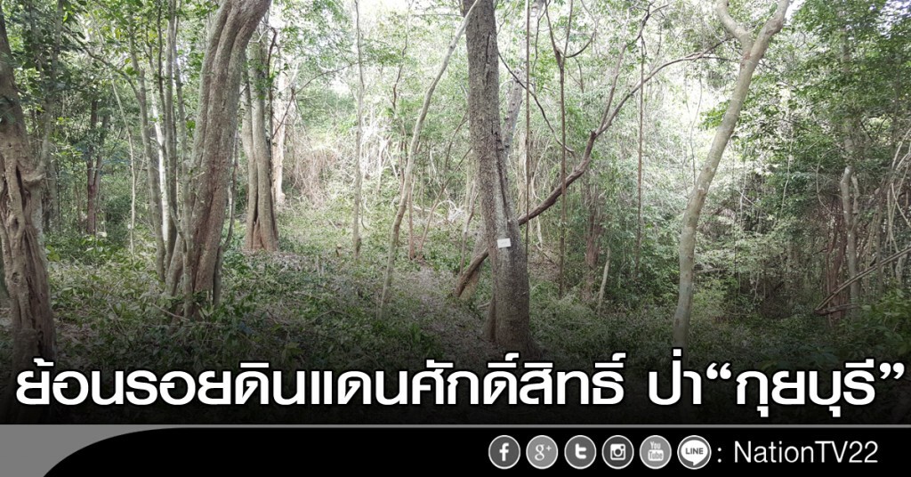 ย้อนรอยดินแดนศักดิ์สิทธิ์ป่า ‘กุยบุรี’ ย้อนรอยดินแดนศักดิ์สิทธิ์ป่า ‘กุยบุรี’