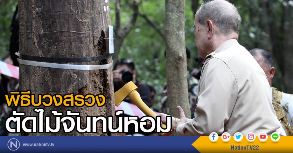 พิธีบวงสรวง ตัดไม้จันทน์หอม พิธีบวงสรวง ตัดไม้จันทน์หอม