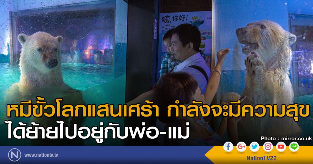 หมีแสนเศร้ากำลังจะมีความสุข หมีแสนเศร้ากำลังจะมีความสุข
