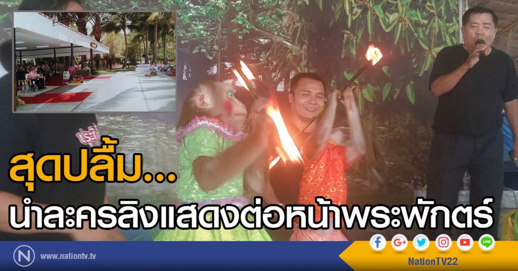 สุดปลื้มนำละครลิง แสดงต่อหน้าพระพักตร์