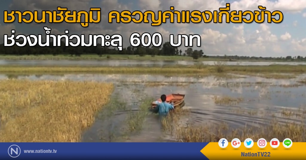 ชาวนาชัยภูมิ ครวญค่าแรงเกี่ยวข้าวช่วงน้ำท่วมทะลุ 600 บาท ชาวนาชัยภูมิ ครวญค่าแรงเกี่ยวข้าวช่วงน้ำท่วมทะลุ 600 บาท