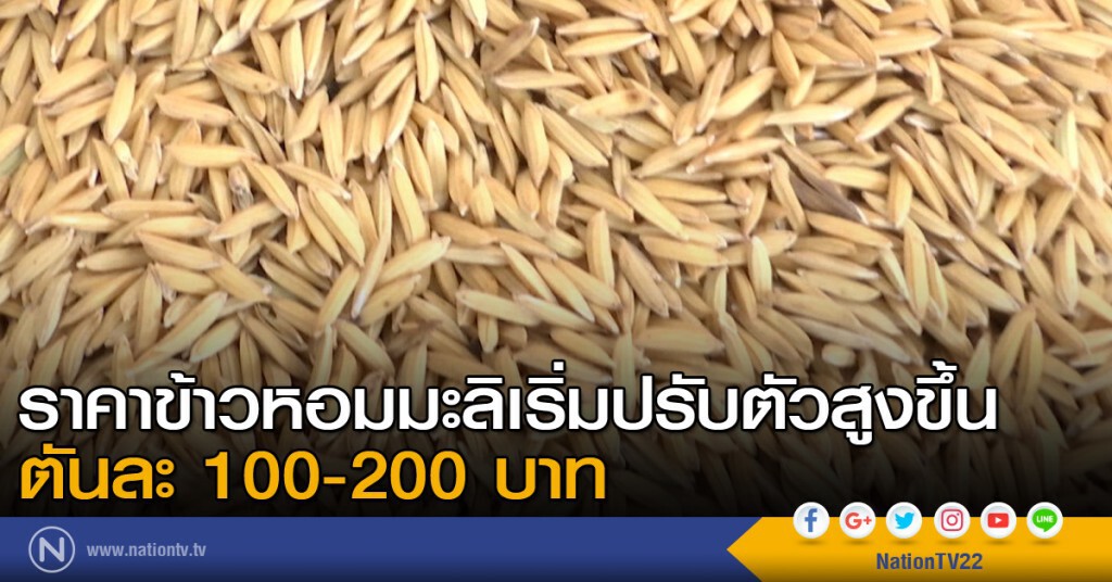 ราคาข้าวหอมมะลิเริ่มปรับตัวสูงขึ้น ตันละ 100-200 บาท
