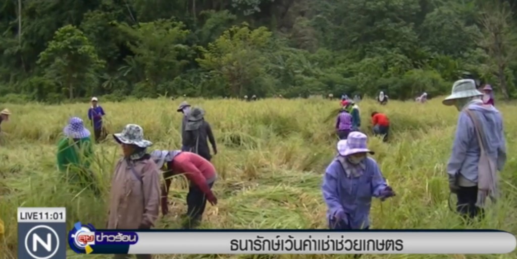 ธนารักษ์เว้นค่าเช่าช่วยเกษตร ธนารักษ์เว้นค่าเช่าช่วยเกษตร