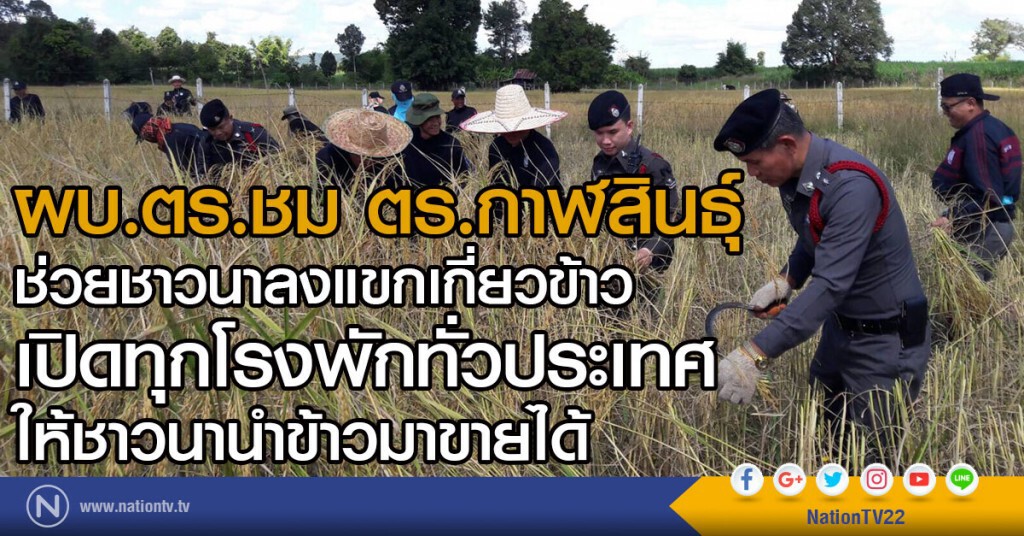 ผบ.ตร.ชม ตร.กาฬสินธุ์
ช่วยชาวนาลงแขกเกี่ยวข้าว
เปิดทุกโรงพักทั่วประเทศให้ชาวนานำข้าวมาขายได้