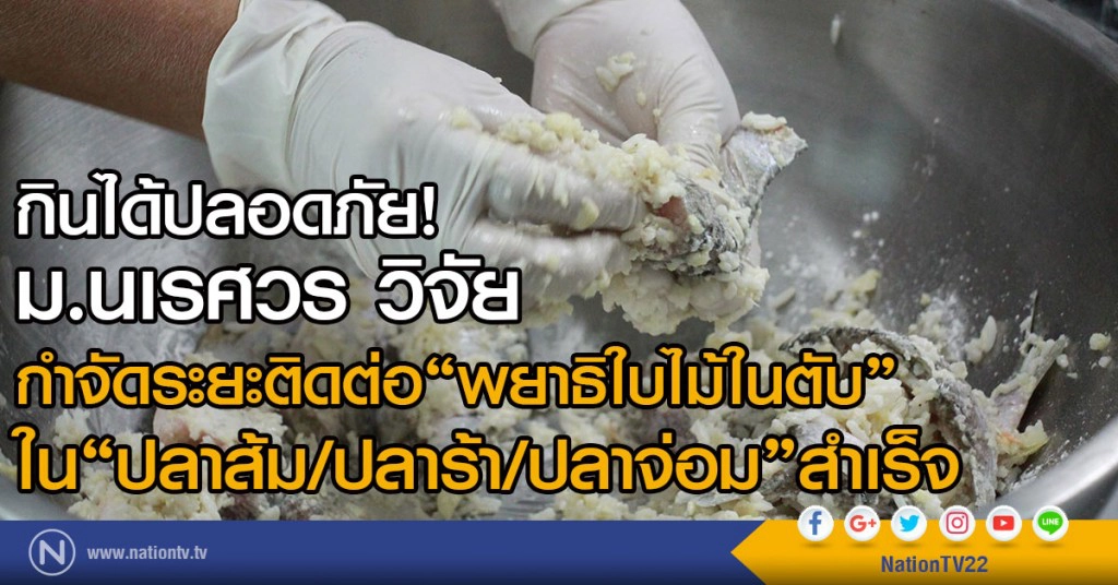 "ม.นเรศวร" คิดวิธีกำจัดพยาธิใบไม้ตับในปลา สำเร็จ