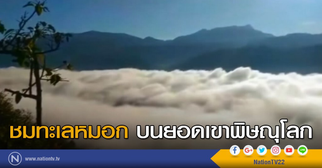 ชมทะเลหมอก บนยอดเขาพิษณุโลก ชมทะเลหมอก บนยอดเขาพิษณุโลก