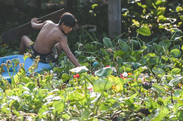 "พายเรือหาเศษเหรียญ"