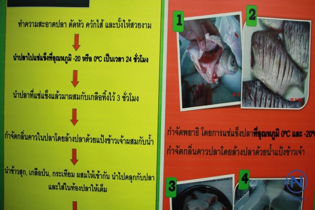 "ม.นเรศวร" คิดวิธีกำจัดพยาธิใบไม้ตับในปลา สำเร็จ