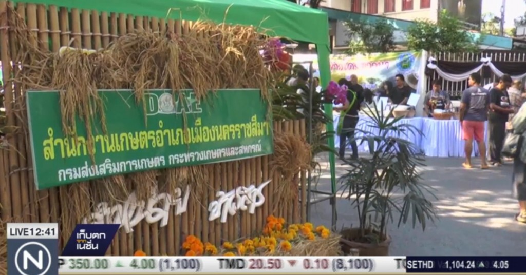 โคราช เปิด 32 อำเภอ ให้ชาวนาขายข้าว โคราช เปิด 32 อำเภอ ให้ชาวนาขายข้าว