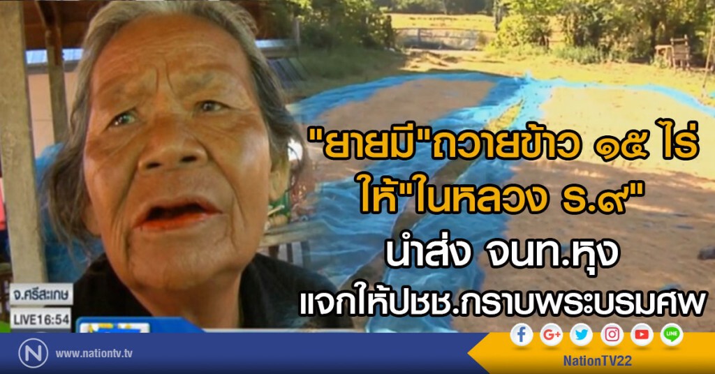 "ยายมี"ถวายข้าวทำบุญถวายในหลวง 15 ไร่
