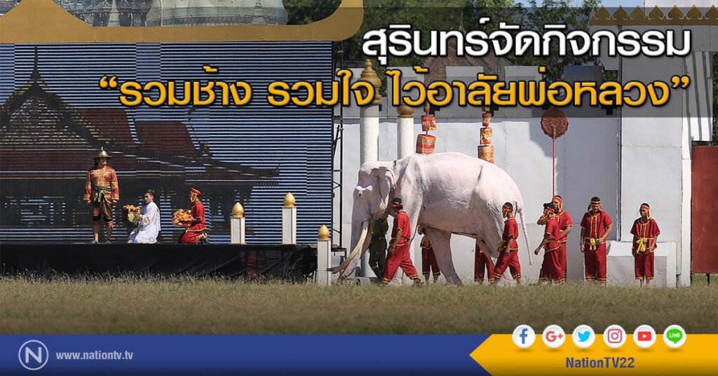 สุรินทร์จัดกิจกรรม "รวมช้าง รวมใจ ไว้อาลัยพ่อหลวง" สุรินทร์จัดกิจกรรม "รวมช้าง รวมใจ ไว้อาลัยพ่อหลวง"