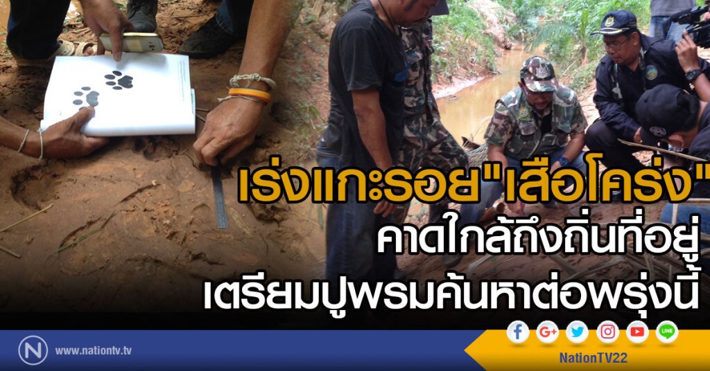 สุราษฎร์-เร่งแกะรอย"เสือโคร่ง"
คาดใกล้ถึงถิ่นที่อยู่
เตรียมปูพรมค้นหาต่อพรุ่งนี้ สุราษฎร์-เร่งแกะรอย"เสือโคร่ง"
คาดใกล้ถึงถิ่นที่อยู่
เตรียมปูพรมค้นหาต่อพรุ่งนี้