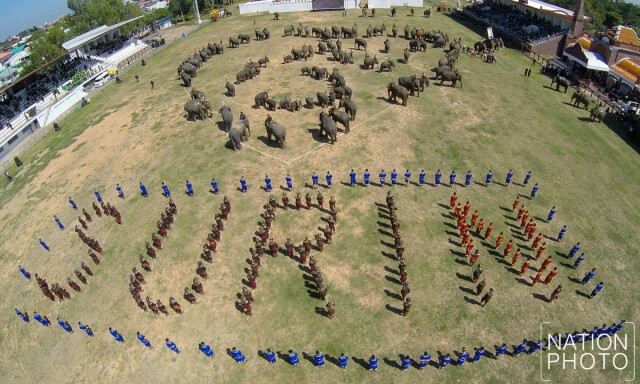 ภาพมุมสูง ช้างกว่า 300 เชือก แปรอักษรเป็นรูปเลขเก้าล้อมรอบด้วยหัวใจ