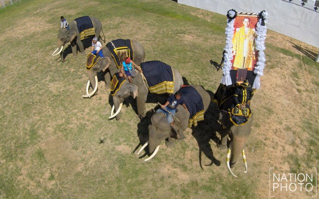 ภาพมุมสูง ช้างกว่า 300 เชือก แปรอักษรเป็นรูปเลขเก้าล้อมรอบด้วยหัวใจ