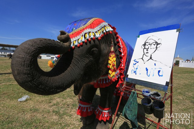 ลูกช้างพังอรทัย วาดพระบรมสาทิสลักษณ์ ในหลวง ร.๙
