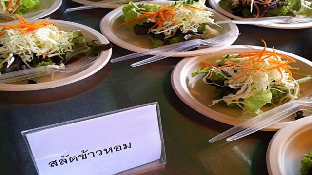 "ยิ่งลักษณ์"ควงแกนนำพรรคเพื่อไทย
จัดอีเว้นท์ปรุงอาหารแปรรูปจากข้าว
หวังดันราคาข้าวสูงขึ้น