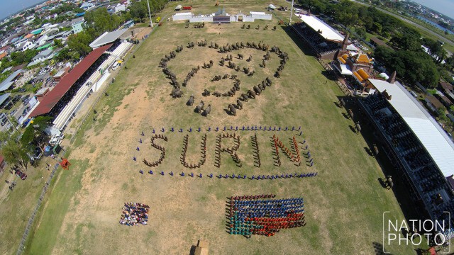 ภาพมุมสูง ช้างกว่า 300 เชือก แปรอักษรเป็นรูปเลขเก้าล้อมรอบด้วยหัวใจ