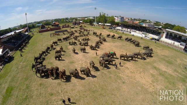 ภาพมุมสูง ช้างกว่า 300 เชือก แปรอักษรเป็นรูปเลขเก้าล้อมรอบด้วยหัวใจ