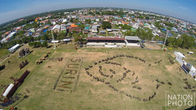 ภาพมุมสูง ช้างกว่า 300 เชือก แปรอักษรเป็นรูปเลขเก้าล้อมรอบด้วยหัวใจ