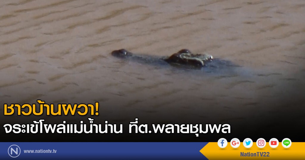 ชาวบ้านผวา! ไอ้เข้โผล่แม่น้ำน่าน ที่ ต.พลายชุมพล ชาวบ้านผวา! ไอ้เข้โผล่แม่น้ำน่าน ที่ ต.พลายชุมพล