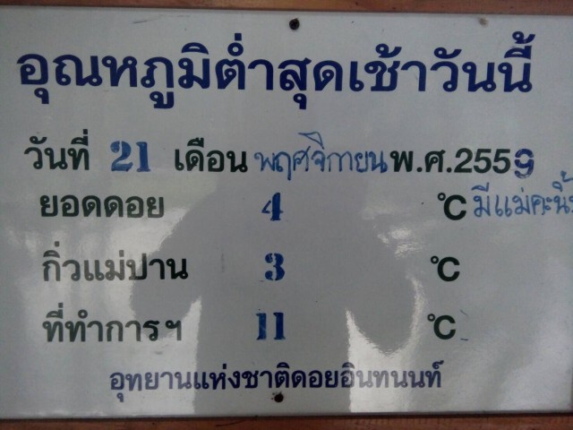 ครั้งแรกของปี! น้ำค้างแข็งที่ดอยอินทนนท์