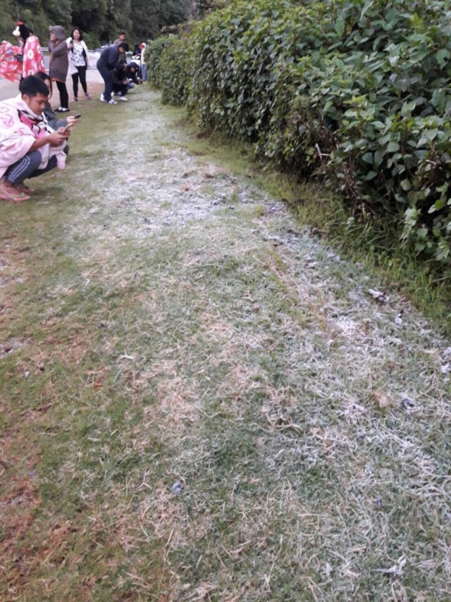 ครั้งแรกของปี! น้ำค้างแข็งที่ดอยอินทนนท์
