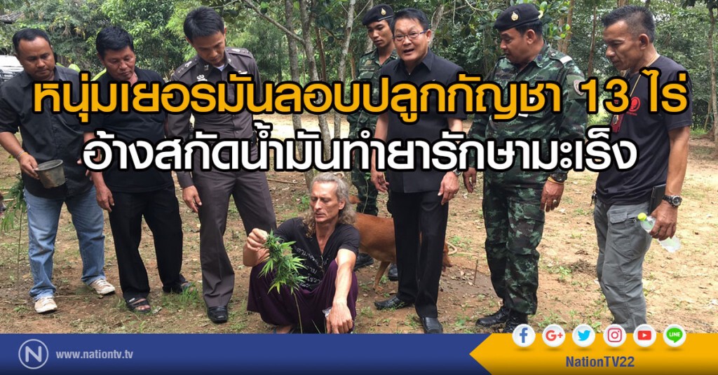 หนุ่มเยอรมันลอบปลูกกัญชา 13 ไร่
อ้างสกัดน้ำมันทำยารักษามะเร็ง