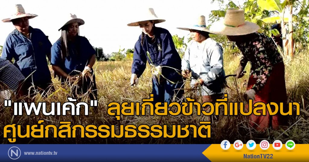"แพนเค้ก" ลุยเกี่ยวข้าวที่แปลงนาศูนย์กสิกรรมธรรมชาติ