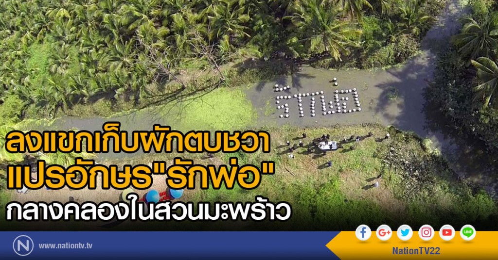 สมุทรสงคราม-ลงแขกเก็บผักตบชวา
แปรอักษร"รักพ่อ"กลางคลองในสวนมะพร้าว