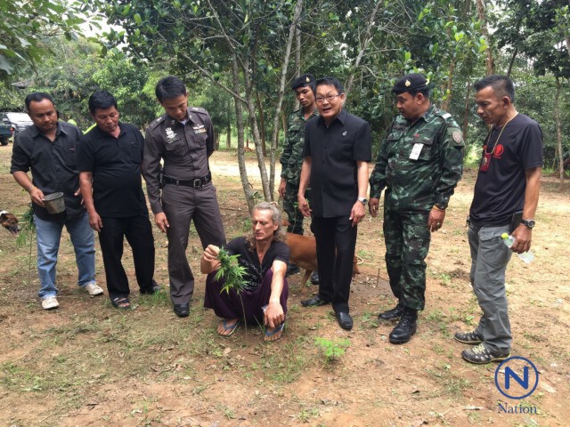 หนุ่มเยอรมันลอบปลูกกัญชา 13 ไร่
อ้างสกัดน้ำมันทำยารักษามะเร็ง