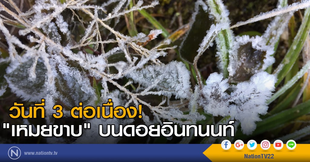 "เหมยขาบ" บนดอยอินทนนท์ วันที่ 3 ต่อเนื่อง "เหมยขาบ" บนดอยอินทนนท์ วันที่ 3 ต่อเนื่อง