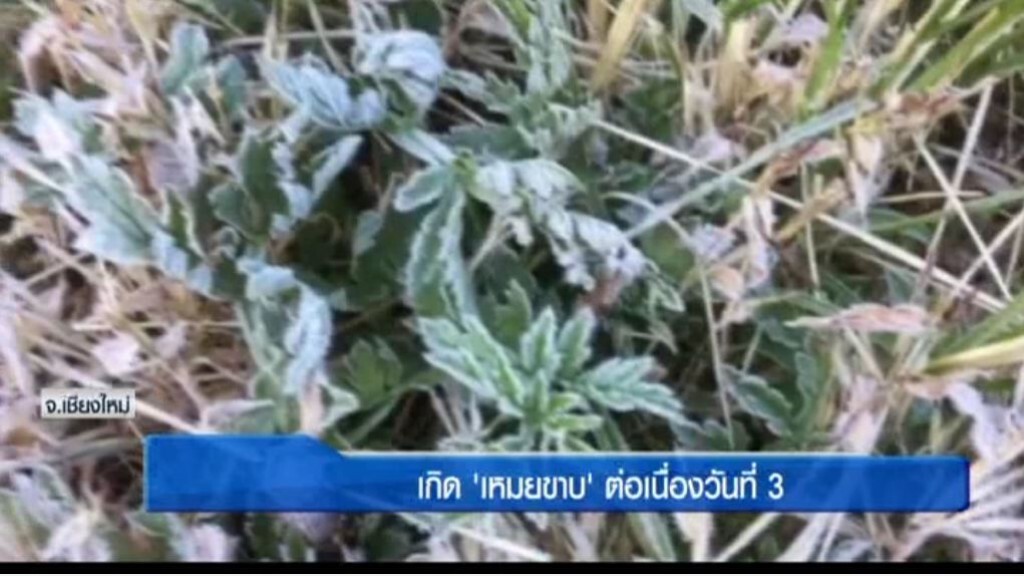 เกิด "เหมยขาบ" ต่อเนื่องวันที่ 3 เกิด "เหมยขาบ" ต่อเนื่องวันที่ 3