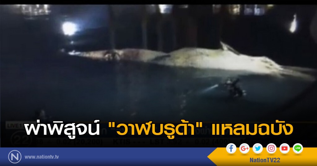 นำซาก "วาฬบรูด้า" แหลมฉบังผ่าพิสูจน์ นำซาก "วาฬบรูด้า" แหลมฉบังผ่าพิสูจน์