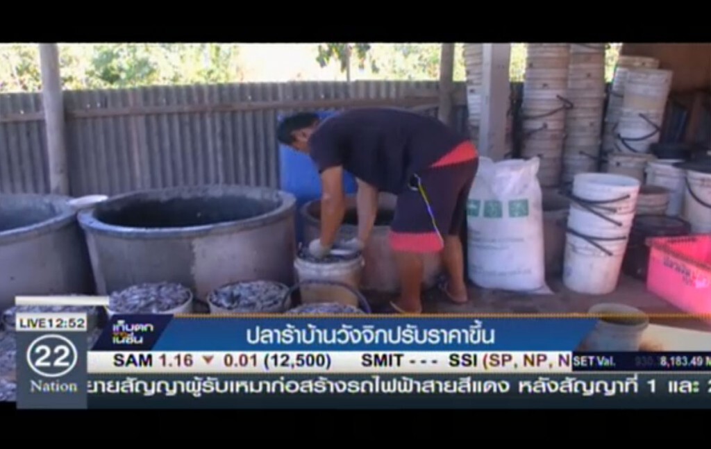 ปลาร้าบ้านวังจิก ปรับราคาขึ้น ปลาร้าบ้านวังจิก ปรับราคาขึ้น