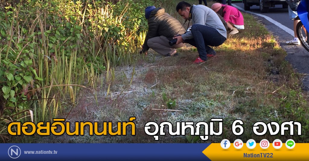 ดอยอินทนนท์ อุณหภูมิ 6 องศา ดอยอินทนนท์ อุณหภูมิ 6 องศา