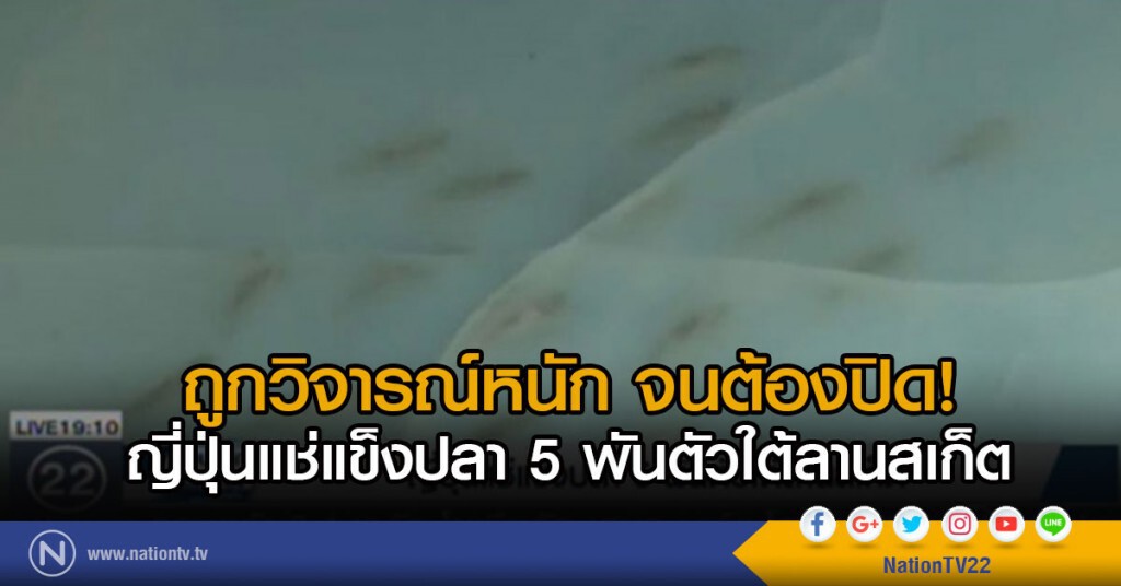 ญี่ปุ่นแช่แข็งปลา 5 พันตัวใต้ลานสเก็ต ญี่ปุ่นแช่แข็งปลา 5 พันตัวใต้ลานสเก็ต