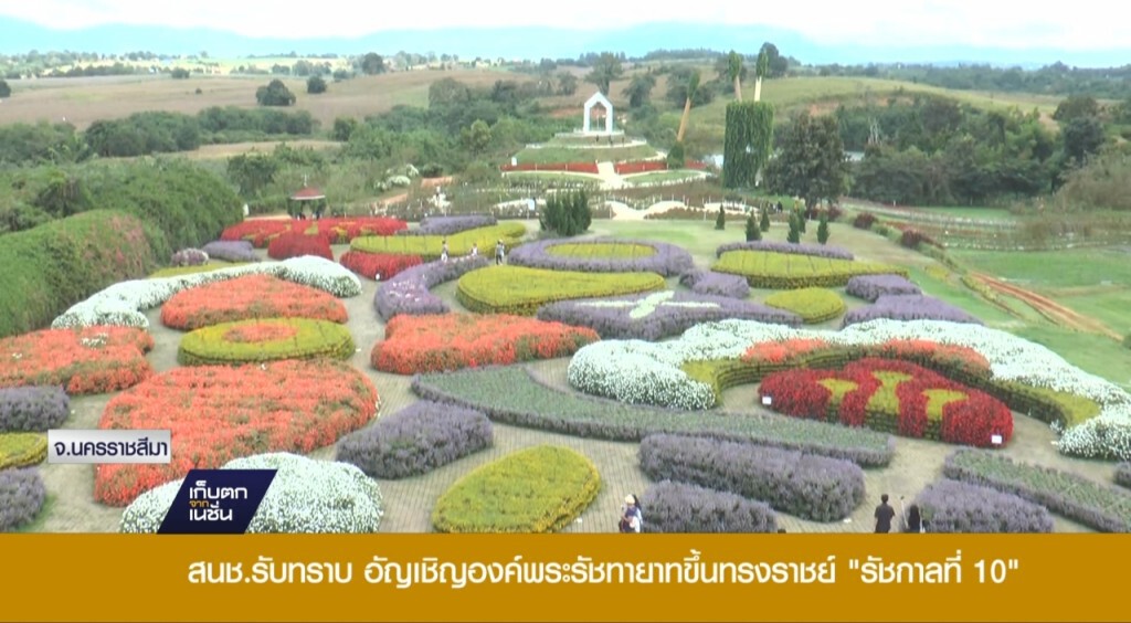 29-11-59 เก็บตกเที่ยง : นักท่องเที่ยวชมงานดอกไม้เขาเขียว 29-11-59 เก็บตกเที่ยง : นักท่องเที่ยวชมงานดอกไม้เขาเขียว