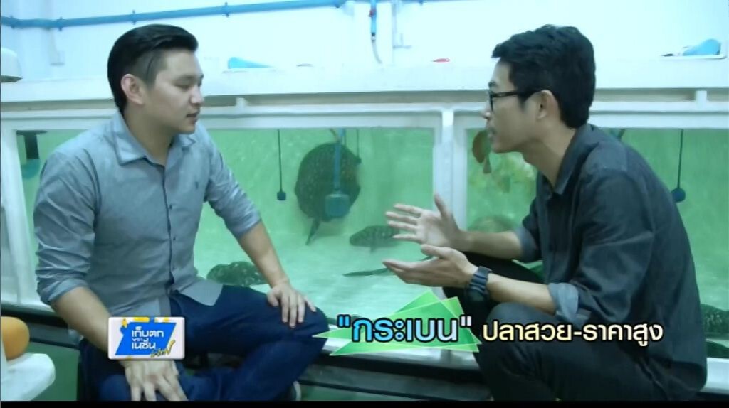 รวยทำกิน - "กระเบน" ปลาสวย-ราคาสูง