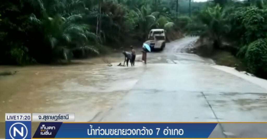 สุราษฎร์ฯ อ่วม น้ำท่วมขยายวงกว้าง 7 อำเภอ เสียชีวิต 2 ราย