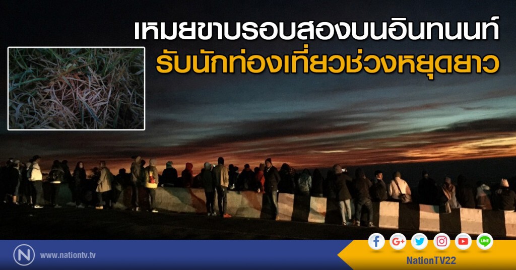 เหมยขาบรอบสองบนอินทนนท์ รับนักท่องเที่ยวช่วงหยุดยาว เหมยขาบรอบสองบนอินทนนท์ รับนักท่องเที่ยวช่วงหยุดยาว