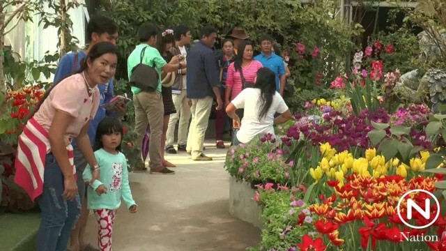 แห่ชมดอกไม้เมืองหนาว "อุทยานไม้ดอกเพ-ลาเพลิน"