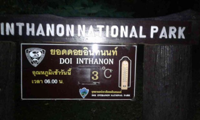 เหมยขาบรอบสองบนอินทนนท์ รับนักท่องเที่ยวช่วงหยุดยาว