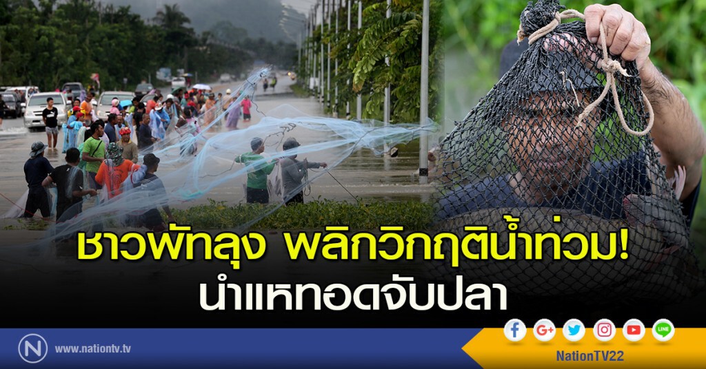 ชาวพัทลุง พลิกวิกฤติน้ำท่วม นำแหทอดจับปลา ชาวพัทลุง พลิกวิกฤติน้ำท่วม นำแหทอดจับปลา