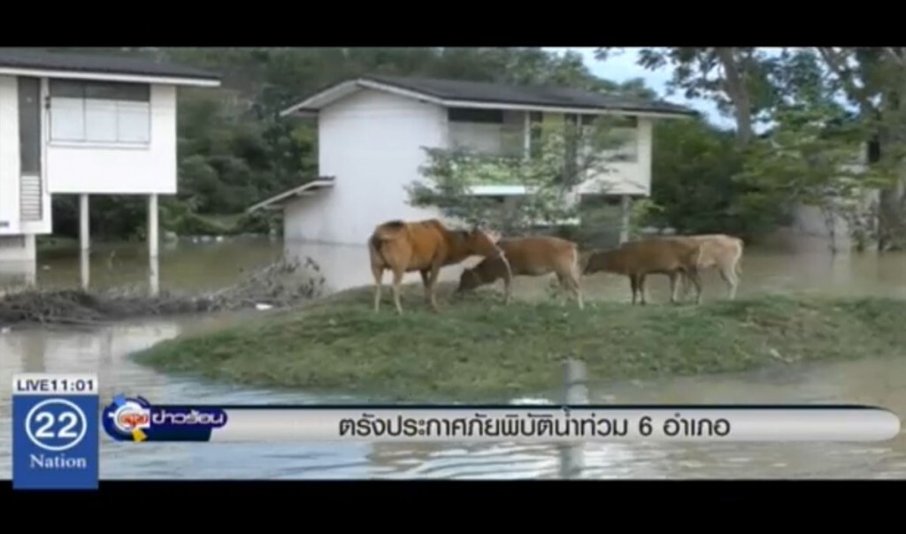 ตรังประกาศภัยพิบัติน้ำท่วม 6 อำเภอ ตรังประกาศภัยพิบัติน้ำท่วม 6 อำเภอ