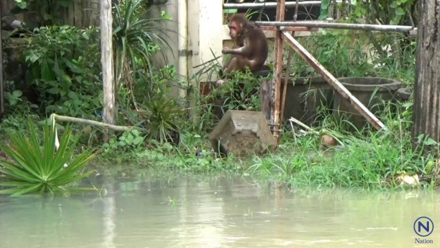 แม่น้ำตรัง ทะลักเข้าท่วม 3 ตำบล