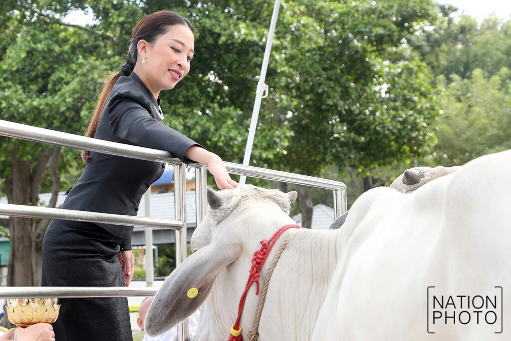 พระองค์ภา ทรงบำเพ็ญพระกุศลเนื่องในวโรกาสวันคล้ายวันประสูติ